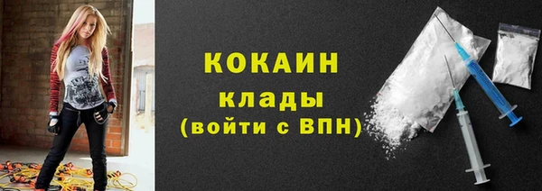 шишки Белокуриха