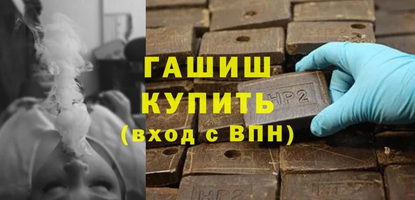 шишки Белокуриха