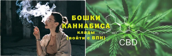 шишки Белокуриха