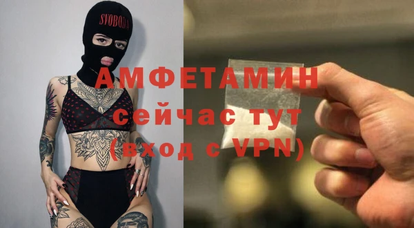 шишки Белокуриха