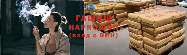 шишки Белокуриха