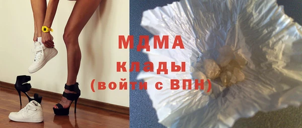 шишки Белокуриха
