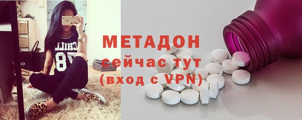 шишки Белокуриха