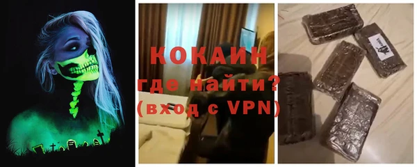 шишки Белокуриха