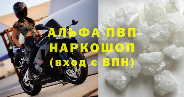 шишки Белокуриха