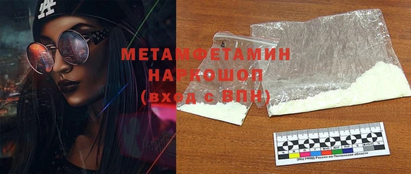 шишки Белокуриха