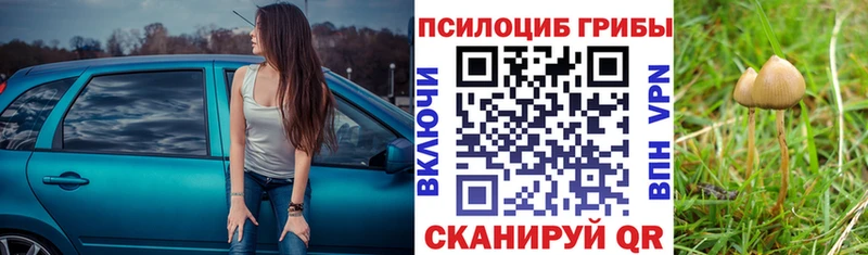 Галлюциногенные грибы мухоморы Облучье
